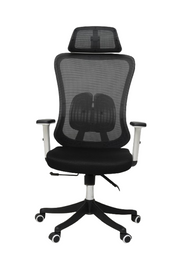 Pluto Ergonomic Chair