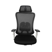 Pluto Ergonomic Chair