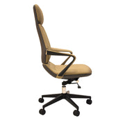 Asary Chair