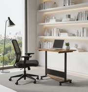 Laptop Trolly