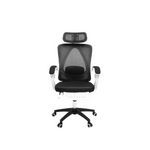Economical ATLAS Ergonomic Chair | Office Chairs Buy in Karachi - Lunar Furniture