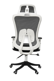 Pluto Ergonomic Chair