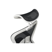 Pluto Ergonomic Chair
