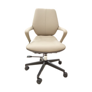 Asary Low Back Chair
