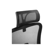 Pluto Ergonomic Chair