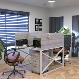 CoreSolo Work Desk | WS - 46