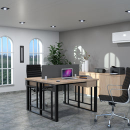 Twin Grid Workstation