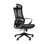 Ergo II Chair