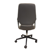 Asary Low Back Chair