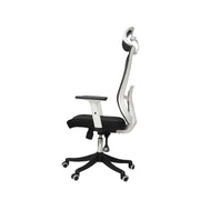 Pluto Ergonomic Chair