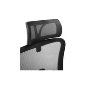 Pluto Ergonomic Chair