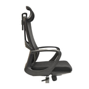 Ergo II Chair