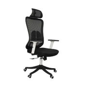 Pluto Ergonomic Chair