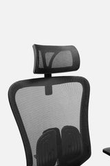 Exceptional Lumbar Support Chair