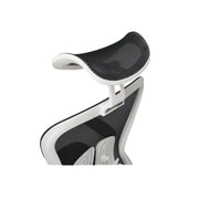 Pluto Ergonomic Chair