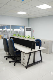 Formal Separated Workstation