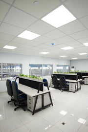 Formal Separated Workstation