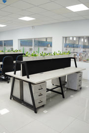 Formal Separated Workstation