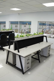 Formal Separated Workstation