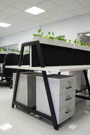 Formal Separated Workstation