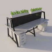 Formal Separated Workstation