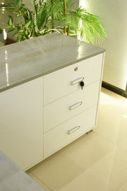 Sycone Executive Desk