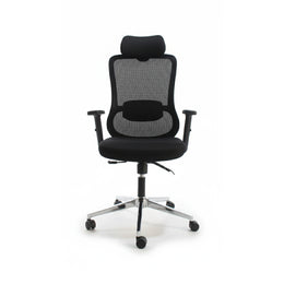 Aeroflex Executive Chair