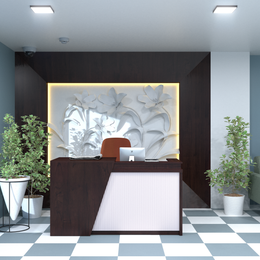 Reception Desk