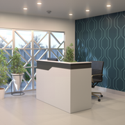 Reception Desk