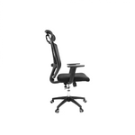 Trending	 FELIX Ergonomic Chair | Office Furniture in Pakistan - Lunar Furniture
