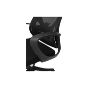 VELINO II Chair - Lunar Furniture