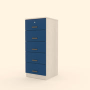 5 Drawer File Cabinet