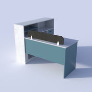 Professional Workspace