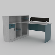 Professional Workspace