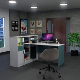 Professional Workspace