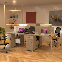 Horizon II Workstation
